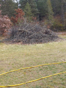 another brush pile to burn in the spring