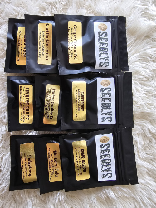 First Seedlys Order! 