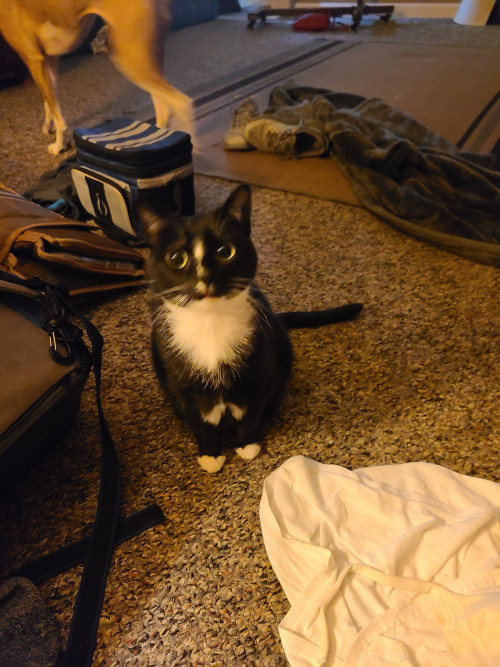 RIP Lil'Bit